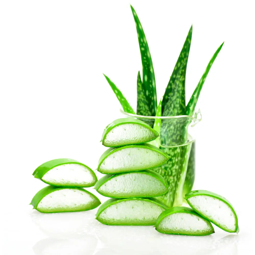 Wissenschaftliche Studien zur WIrkung von Aloe Vera in Kosmetikprodukten, wie im SYE Cosmetics Hyaluron Augenserum
