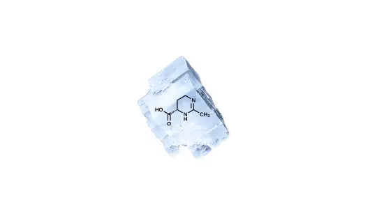 Die Wirkung von Ectoin im SYE Cosmetics Hyaluron Augenserum